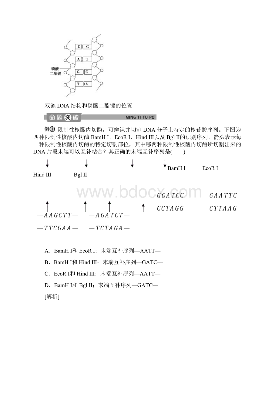 学年高中生物第一章基因工程第一节工具酶的发现和基因工程的诞生学案浙科版选修3.docx_第3页