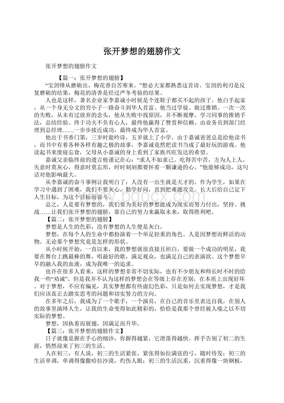 张开梦想的翅膀作文文档格式.docx