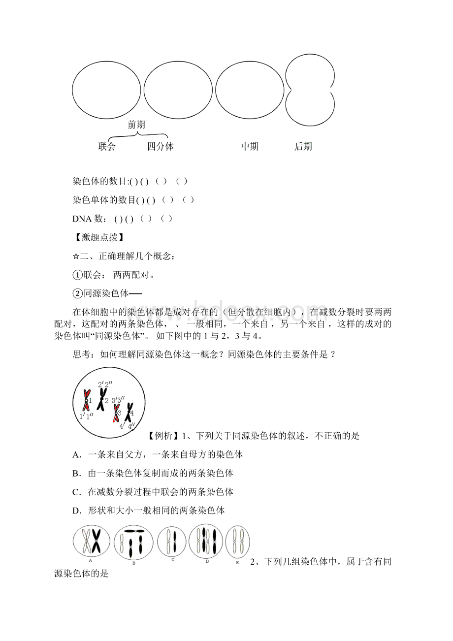 减数分裂导学案Word格式文档下载.docx_第3页