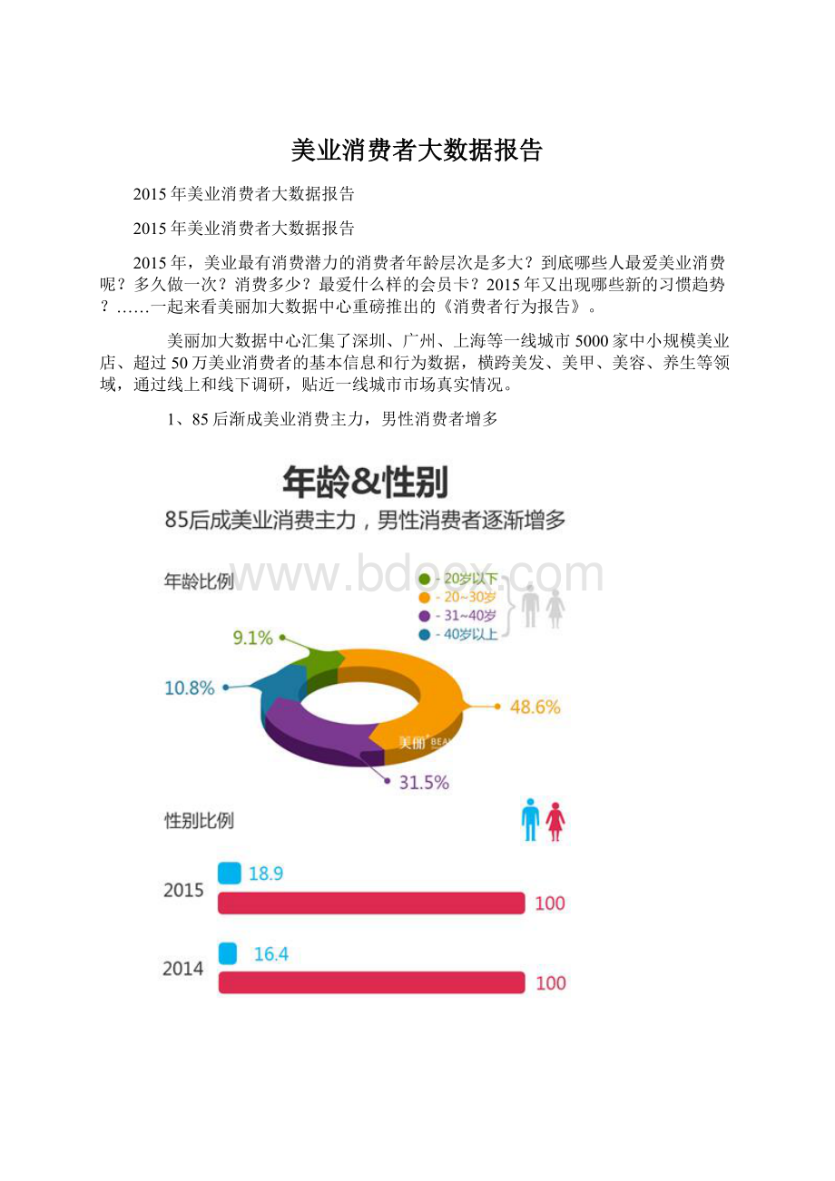 美业消费者大数据报告.docx_第1页