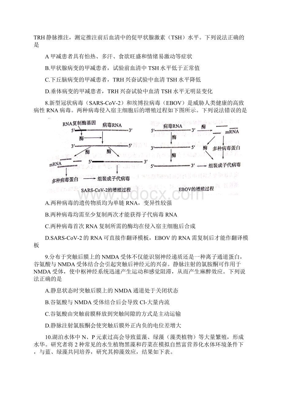 届山东省滨州市高三第二次模拟考试生物试题.docx_第3页