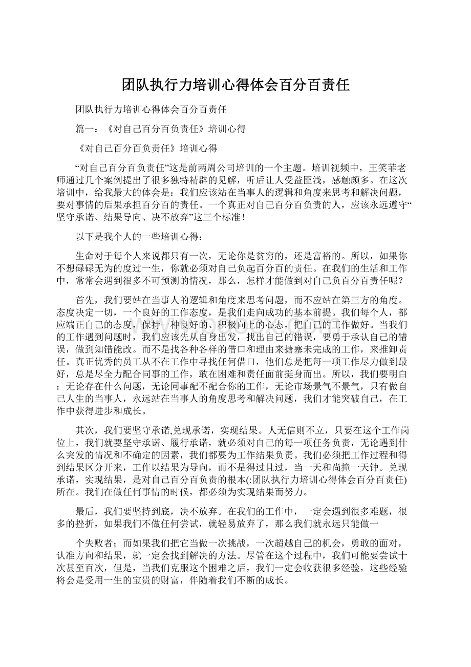 团队执行力培训心得体会百分百责任Word格式文档下载.docx