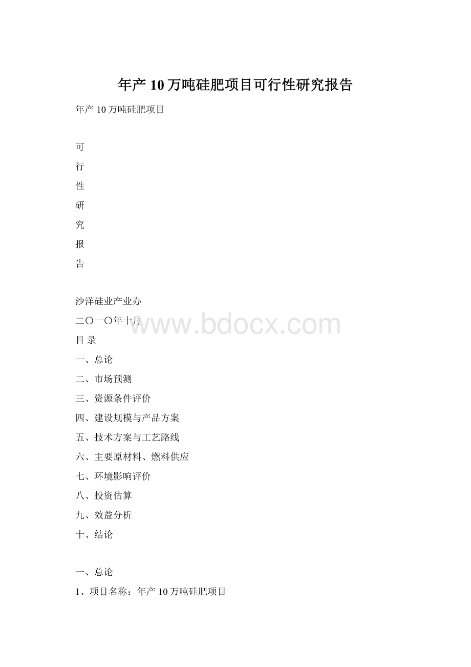 年产10万吨硅肥项目可行性研究报告文档格式.docx