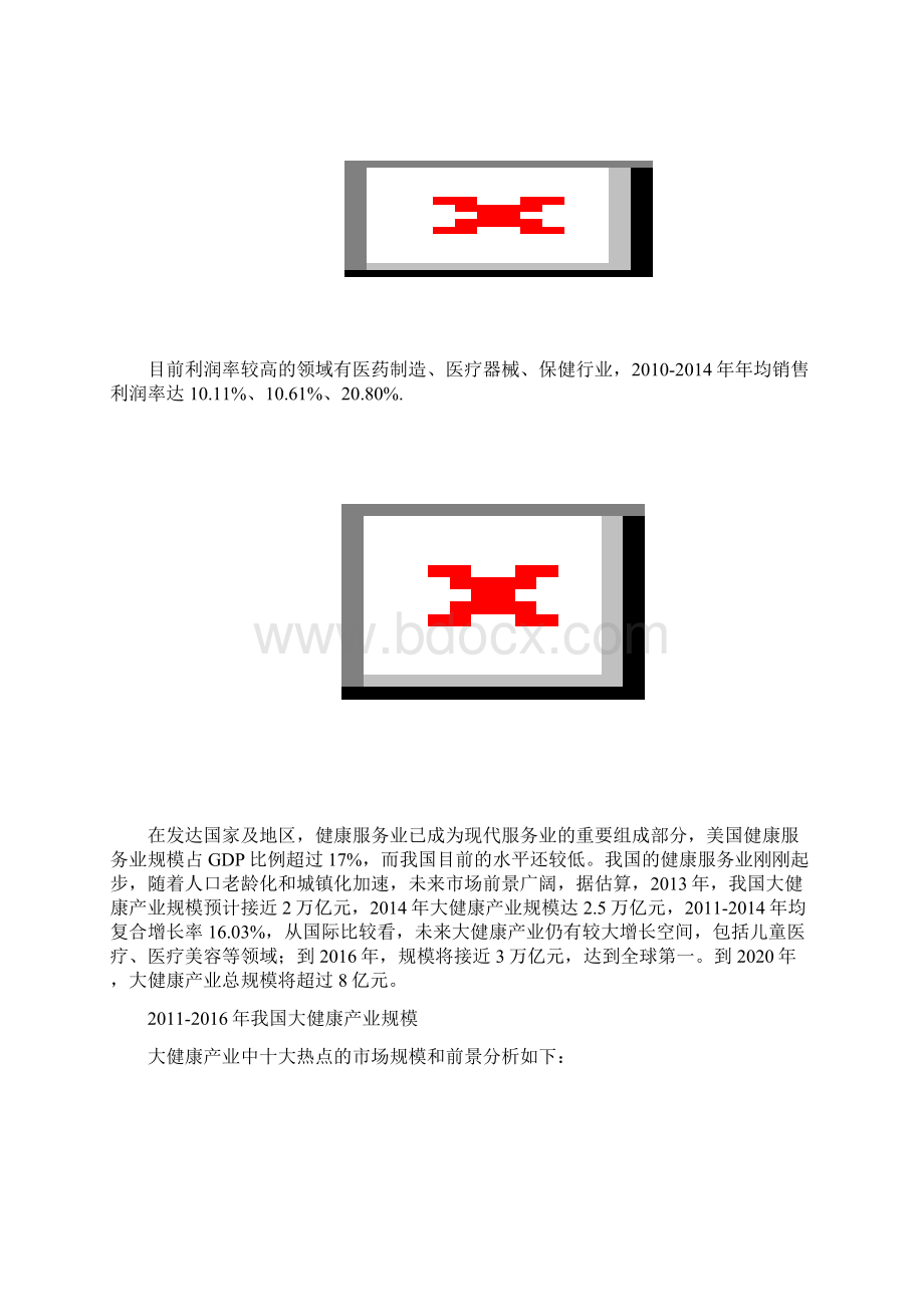 精品推荐大健康产业的国内外发展状况解读Word文档下载推荐.docx_第2页