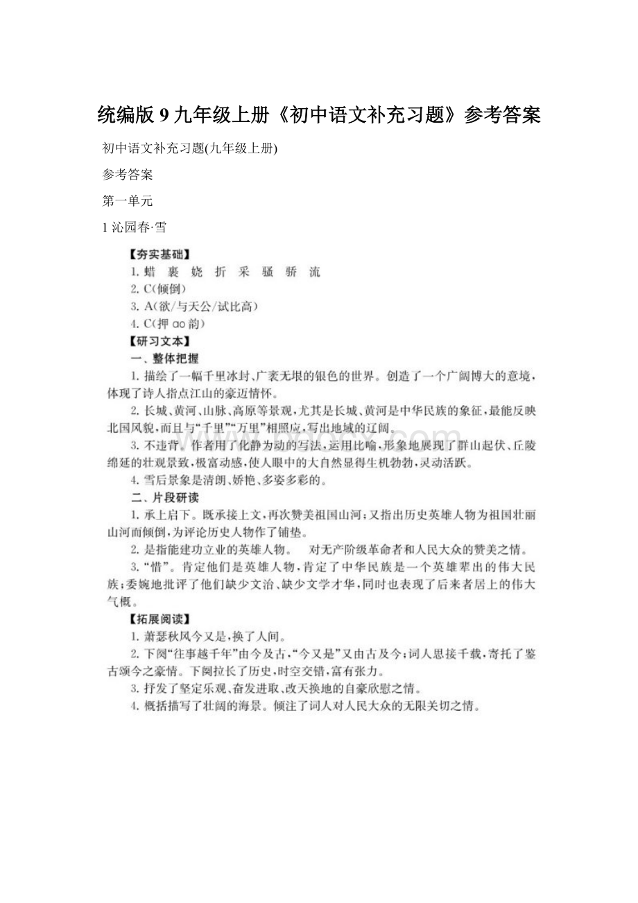 统编版9九年级上册《初中语文补充习题》参考答案.docx