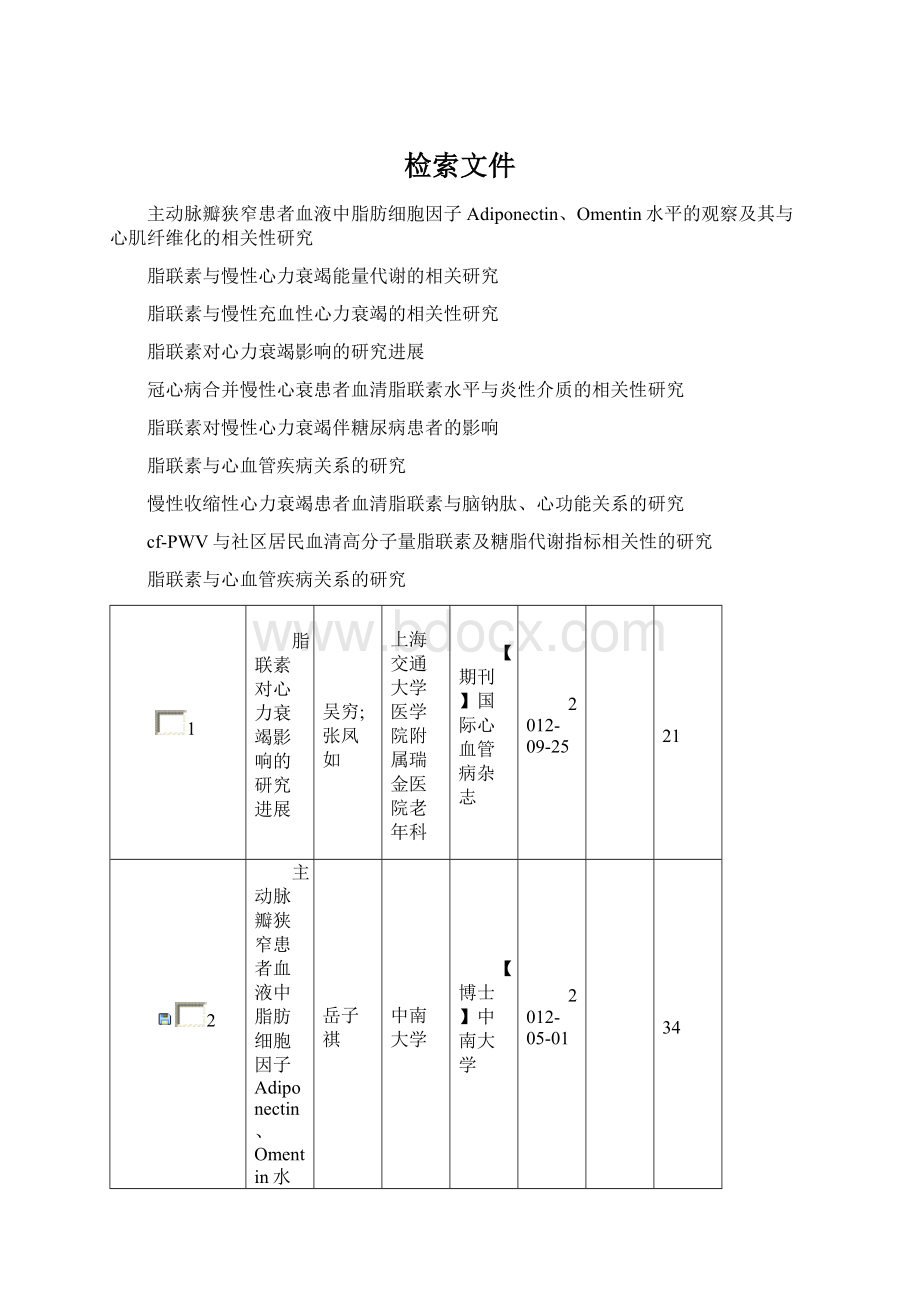 检索文件Word文档格式.docx