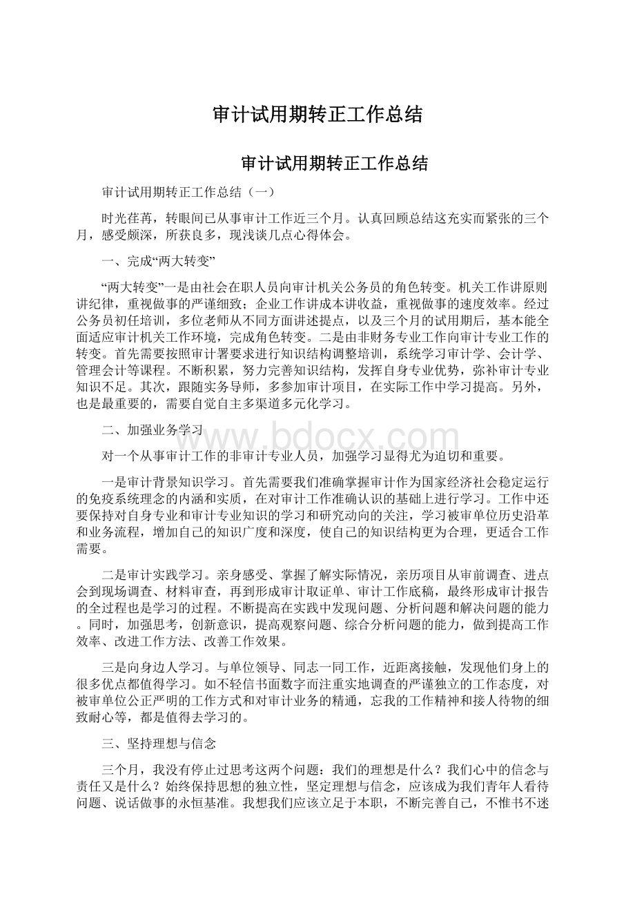 审计试用期转正工作总结Word格式文档下载.docx