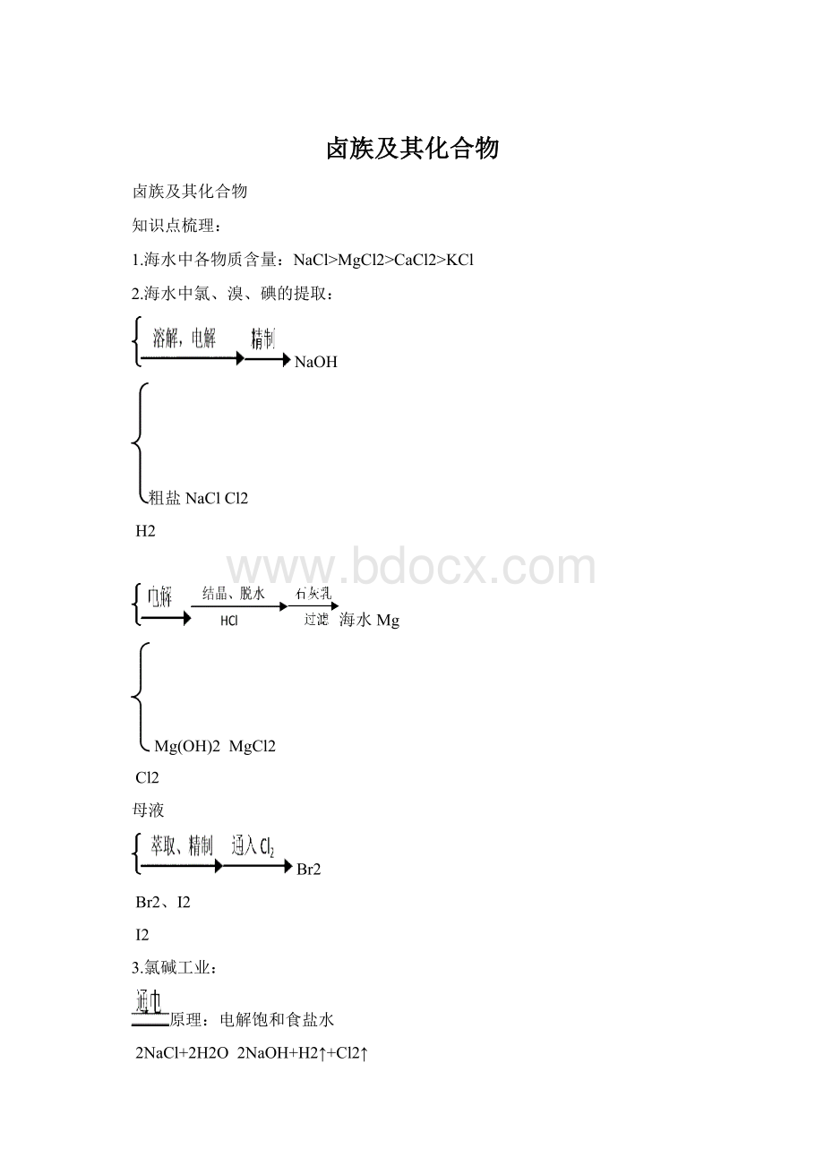 卤族及其化合物文档格式.docx