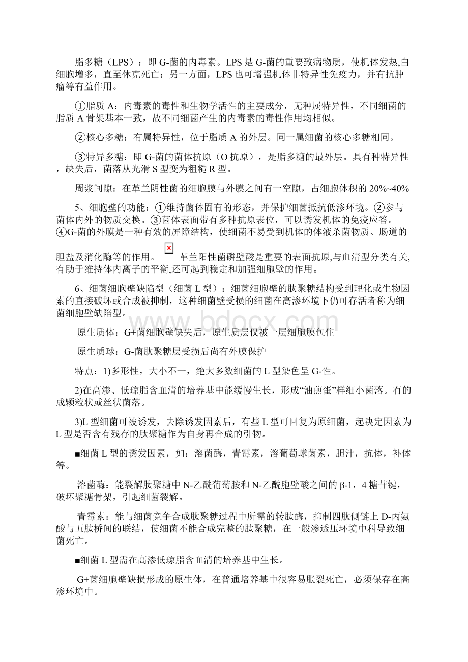 医学微生物学笔记知识点总结期末复习资料.docx_第3页