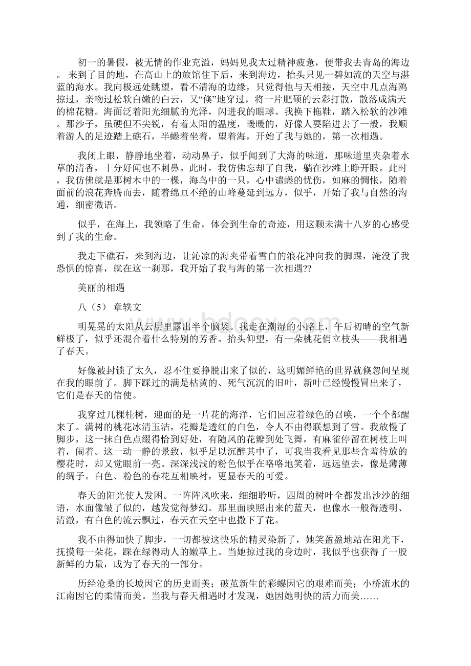 美丽作文之美丽的遇见作文500字.docx_第2页