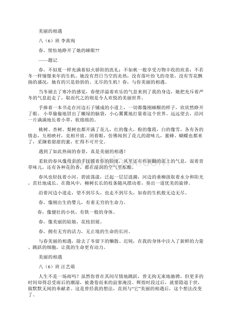 美丽作文之美丽的遇见作文500字.docx_第3页