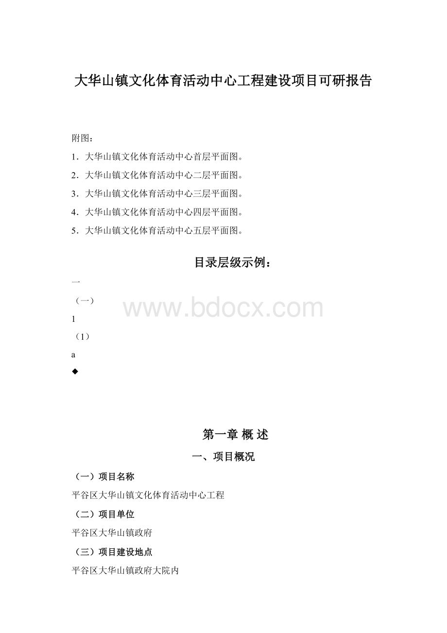 大华山镇文化体育活动中心工程建设项目可研报告.docx_第1页