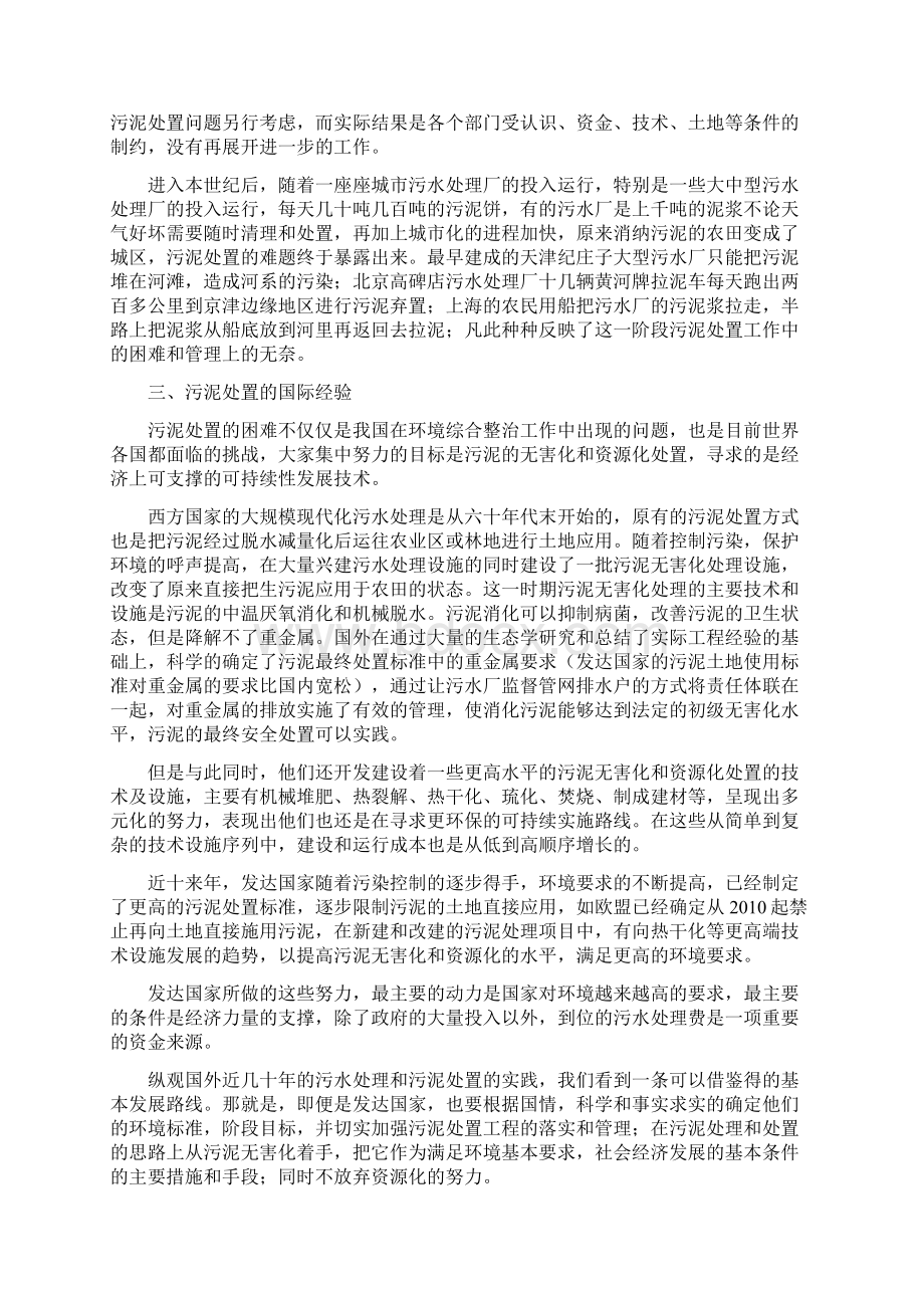 污泥处置实践中的技术路线思考.docx_第2页