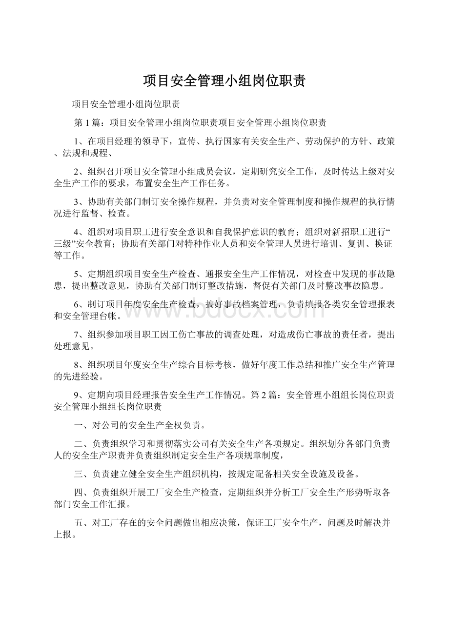 项目安全管理小组岗位职责.docx