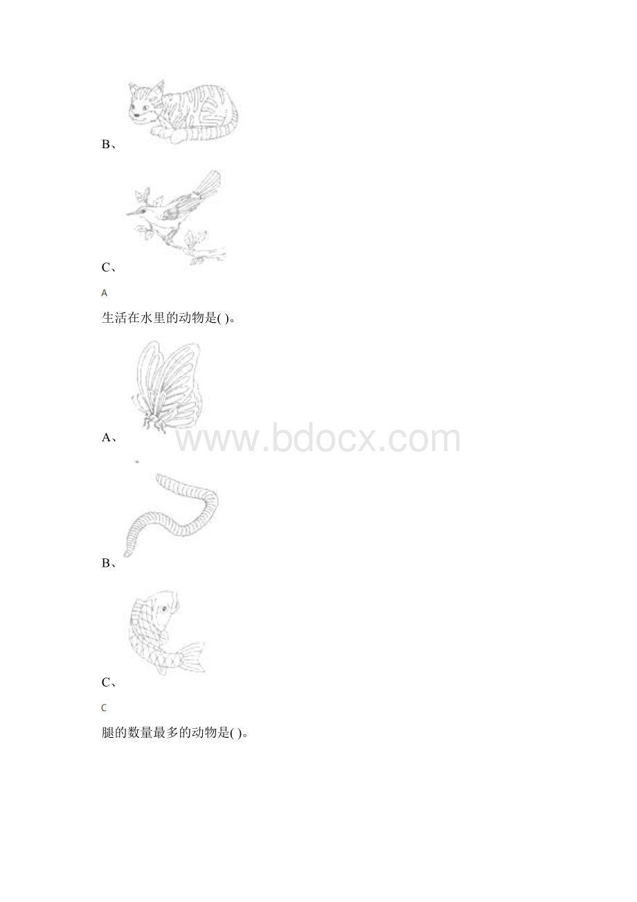 最新精选小学科学一年级下册动物教科版练习题八十九文档格式.docx_第2页