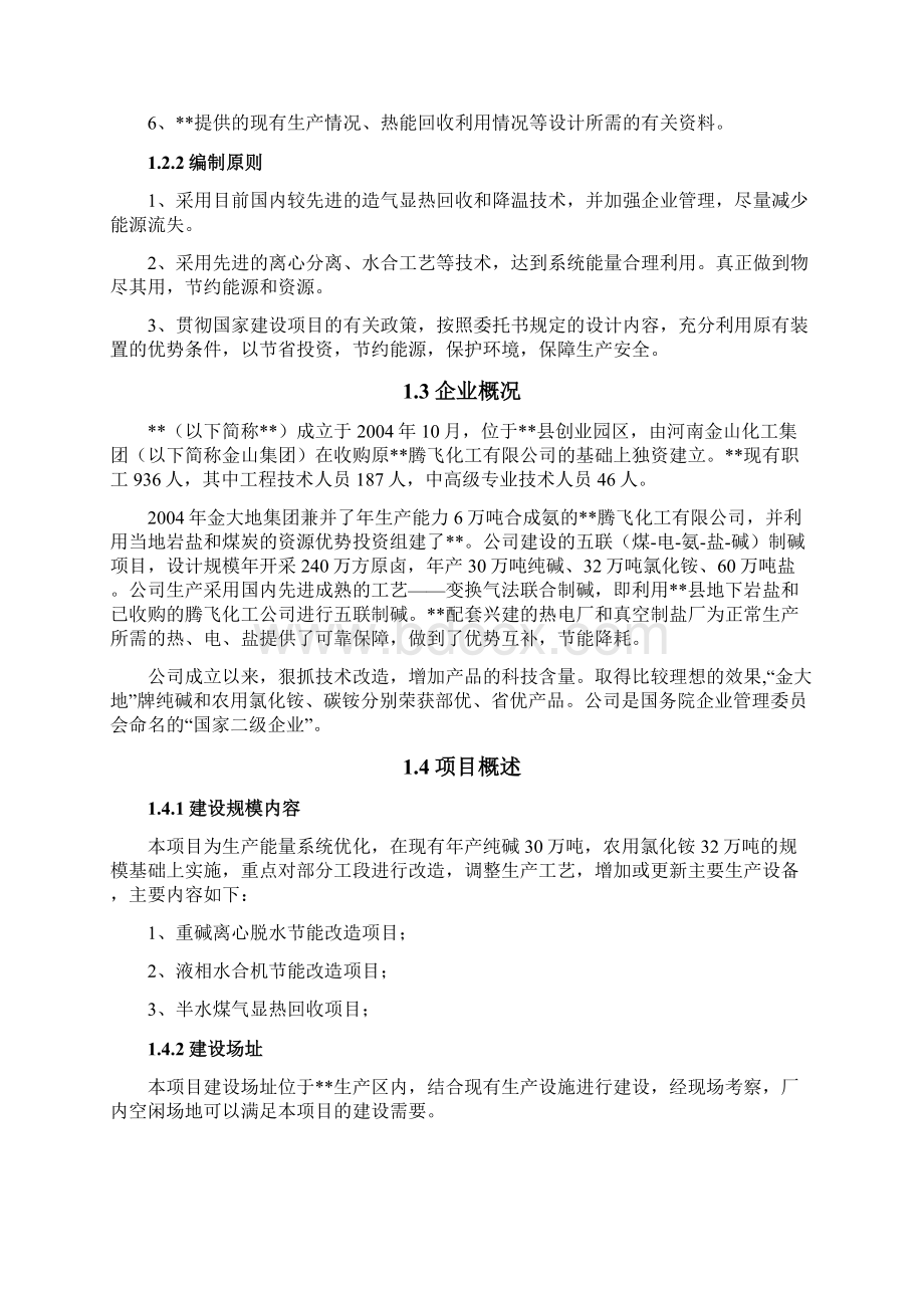 联碱生产能量系统优化项目可行性研究报告.docx_第2页