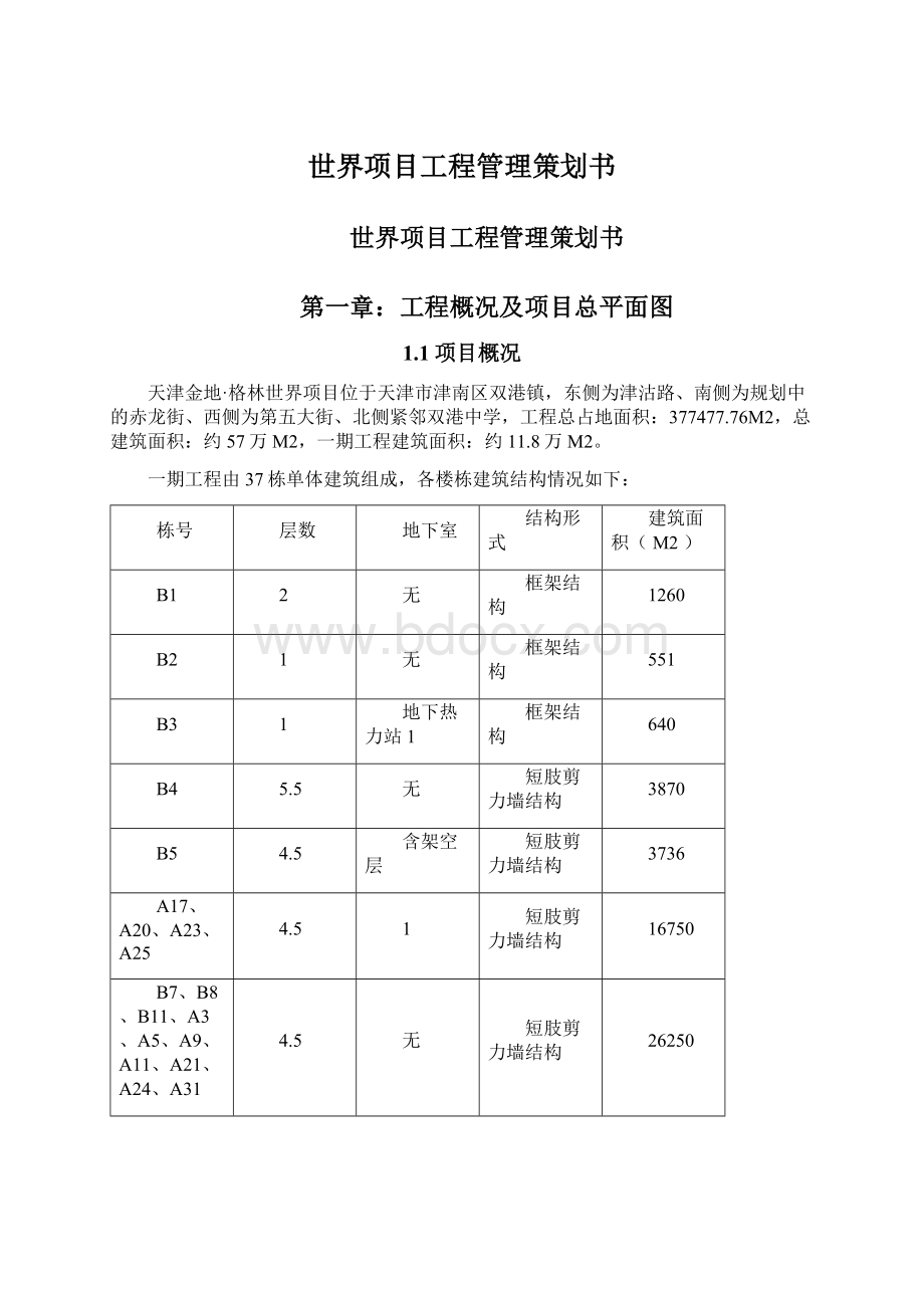 世界项目工程管理策划书.docx