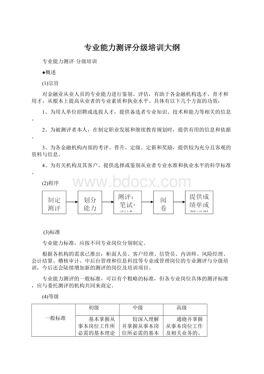 专业能力测评分级培训大纲Word文档格式.docx