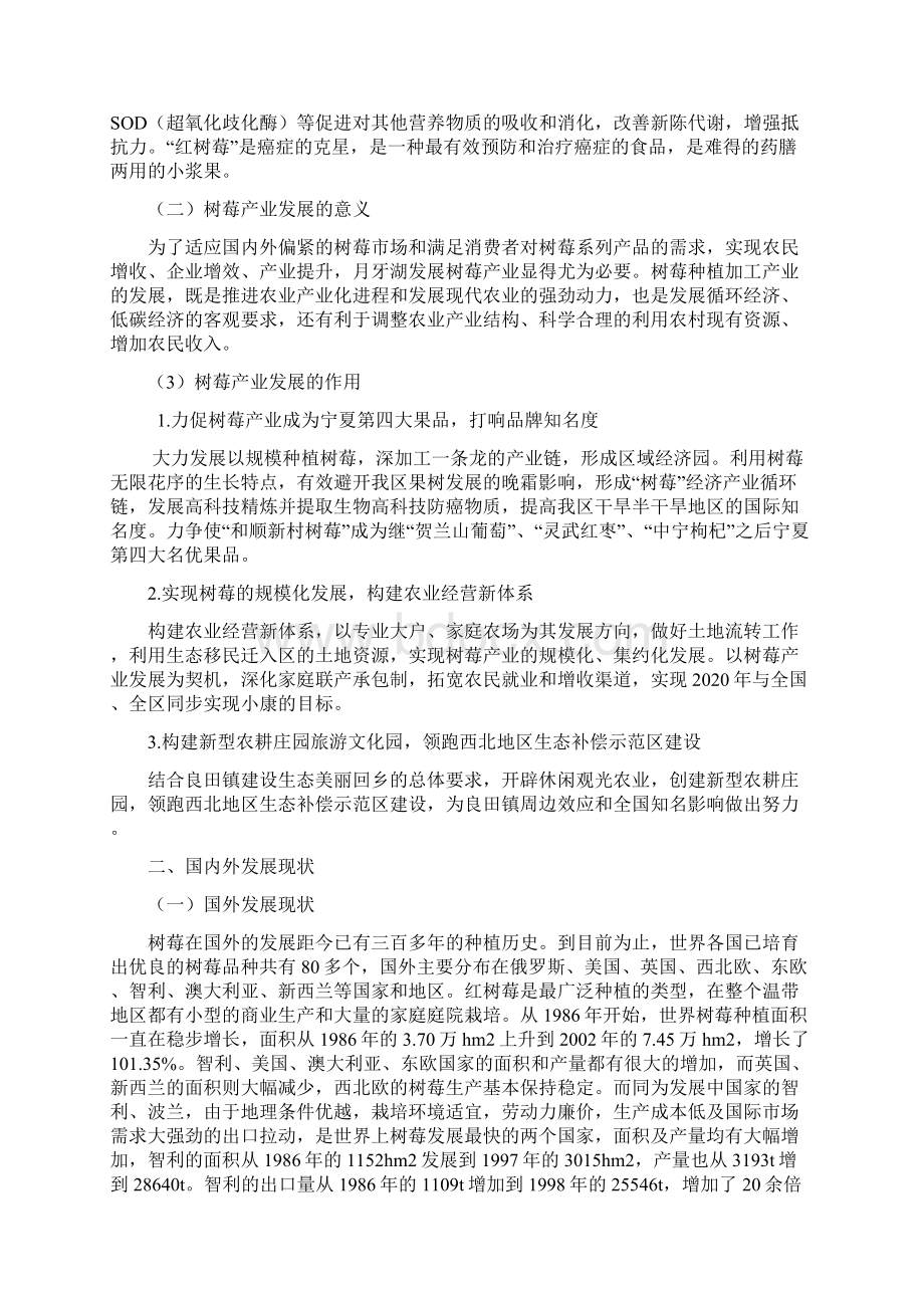 最新版农村发展树莓经济产业循环链项目可行性研究报告Word文档格式.docx_第2页