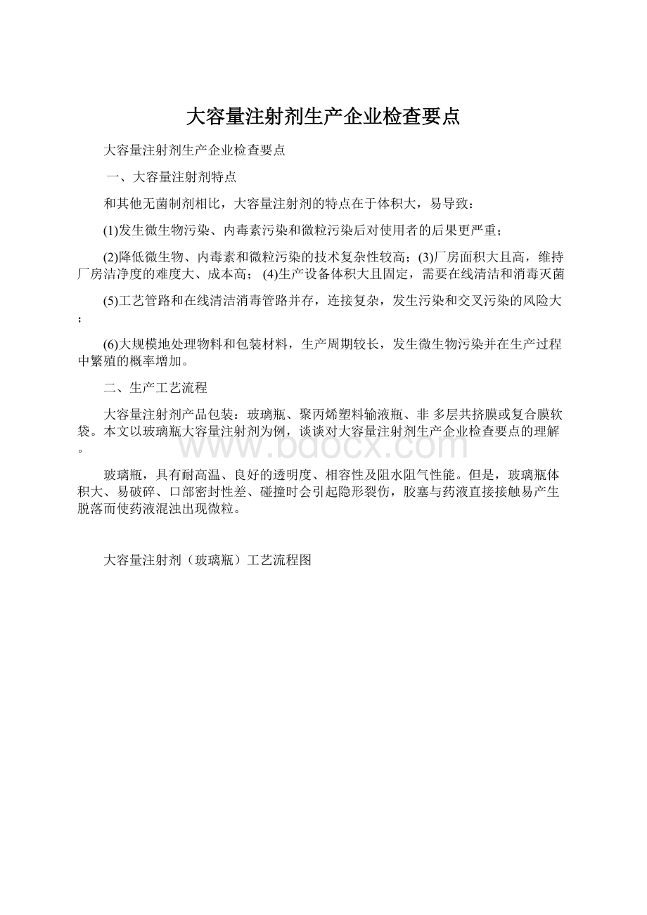 大容量注射剂生产企业检查要点文档格式.docx