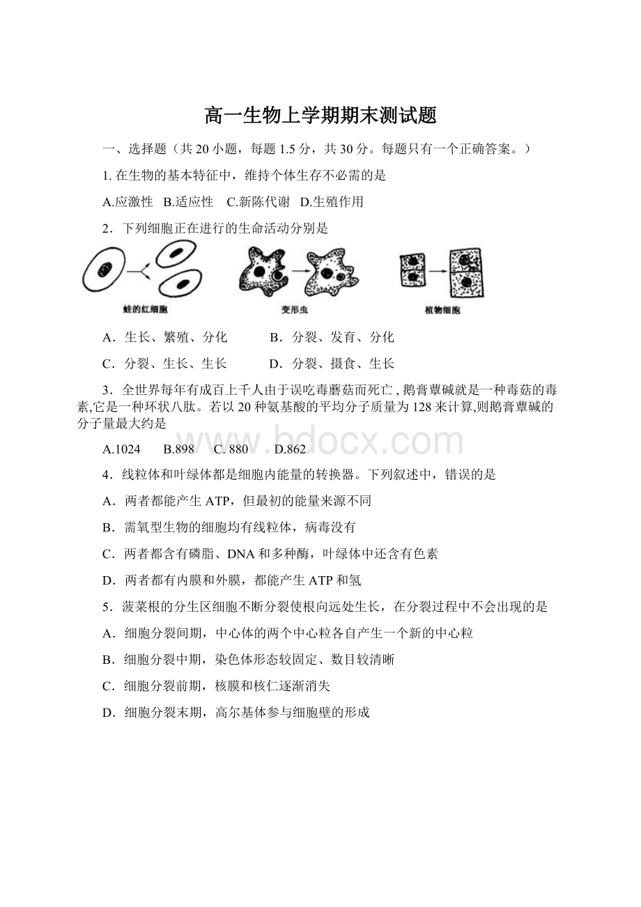 高一生物上学期期末测试题Word文档格式.docx_第1页