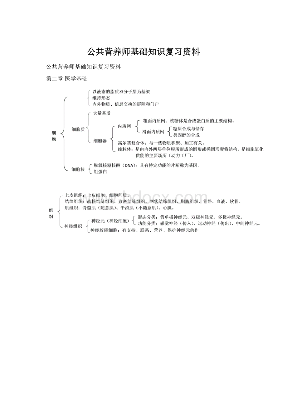 公共营养师基础知识复习资料Word文档格式.docx