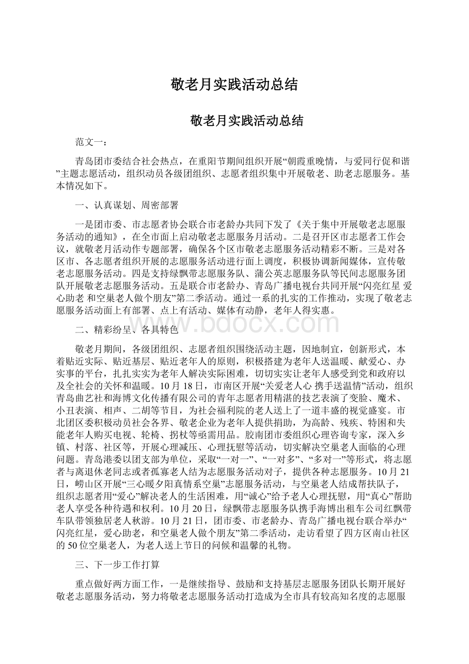 敬老月实践活动总结Word文件下载.docx