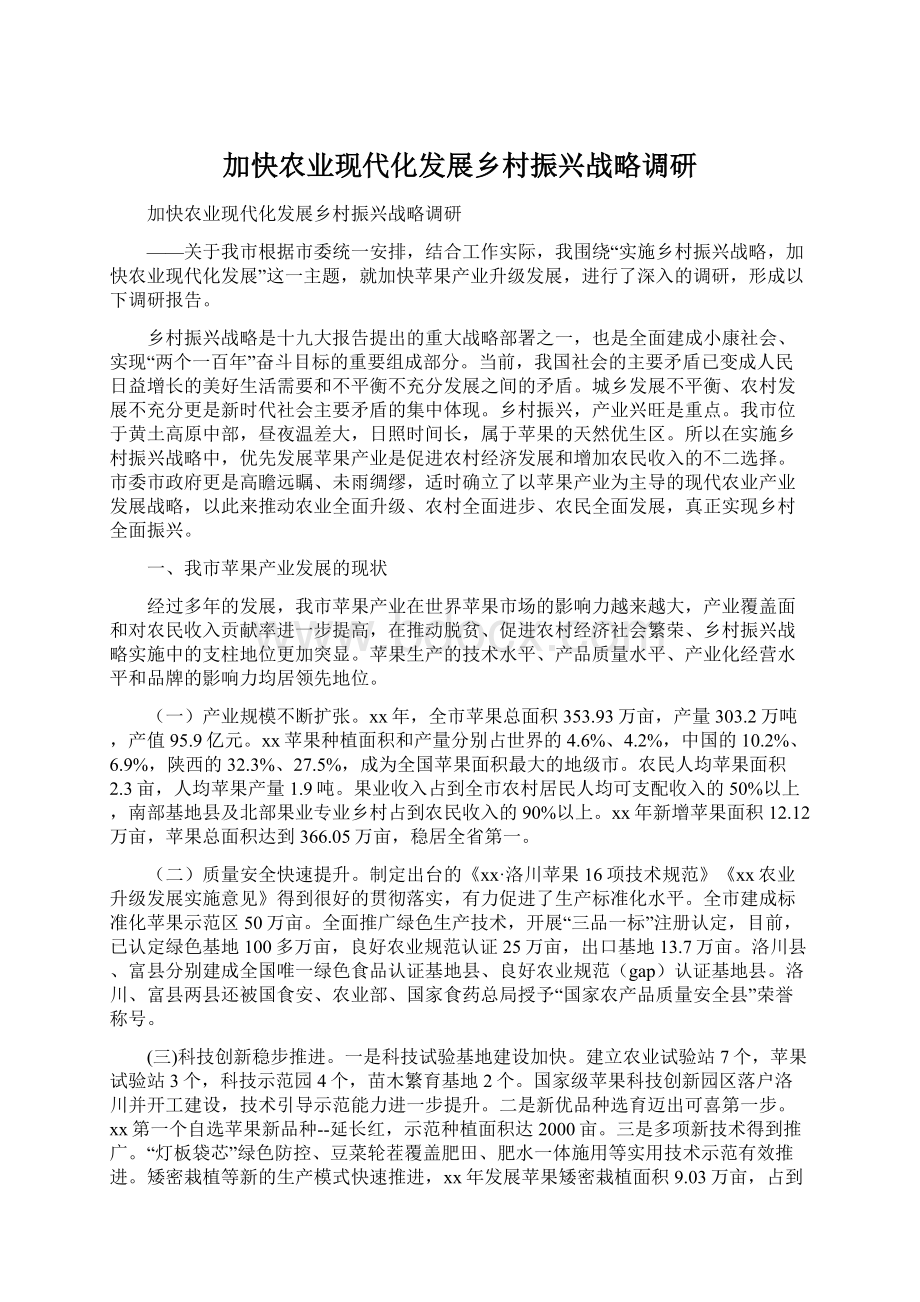 加快农业现代化发展乡村振兴战略调研Word下载.docx