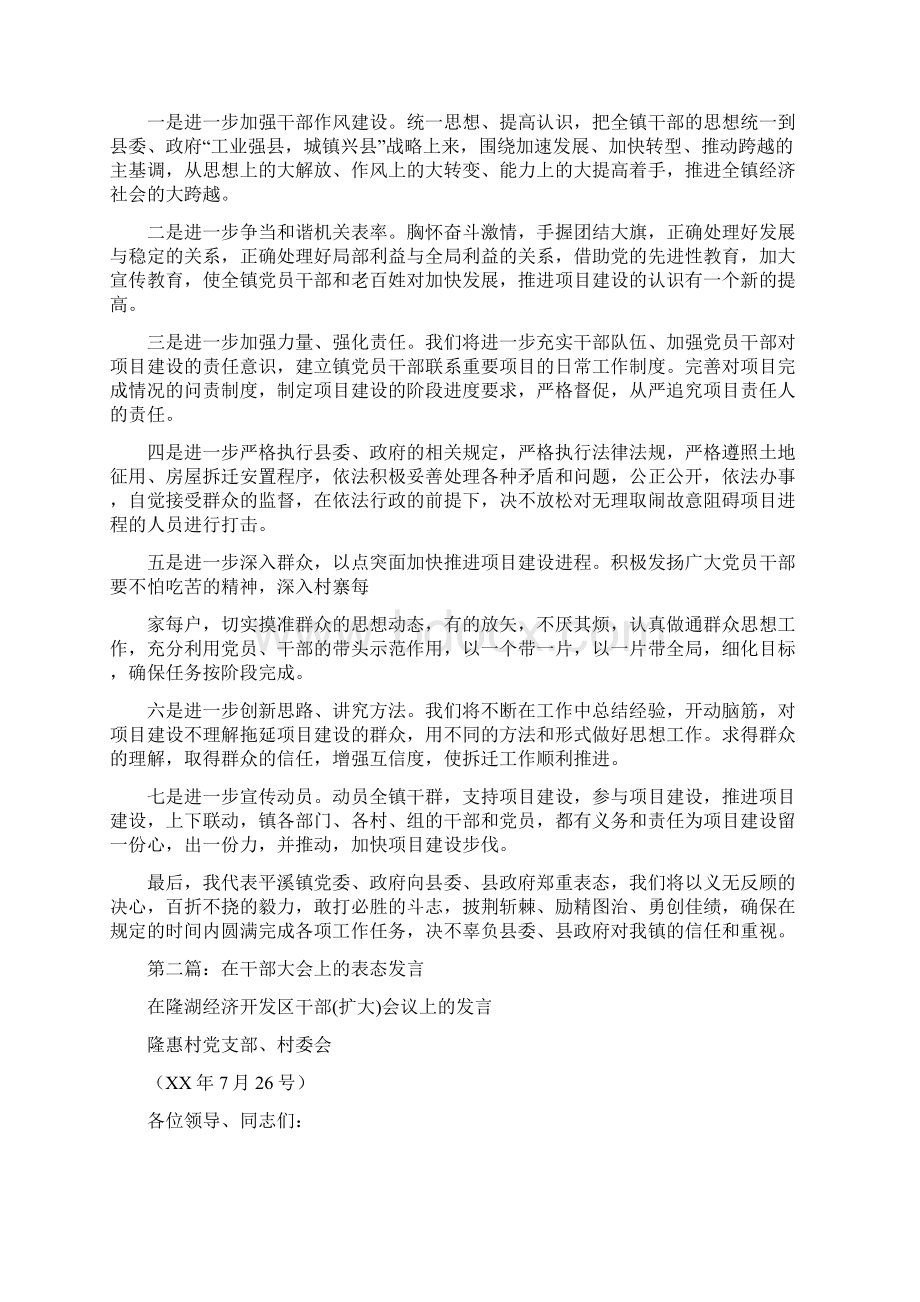 送干部 表态发言精选多篇文档格式.docx_第2页