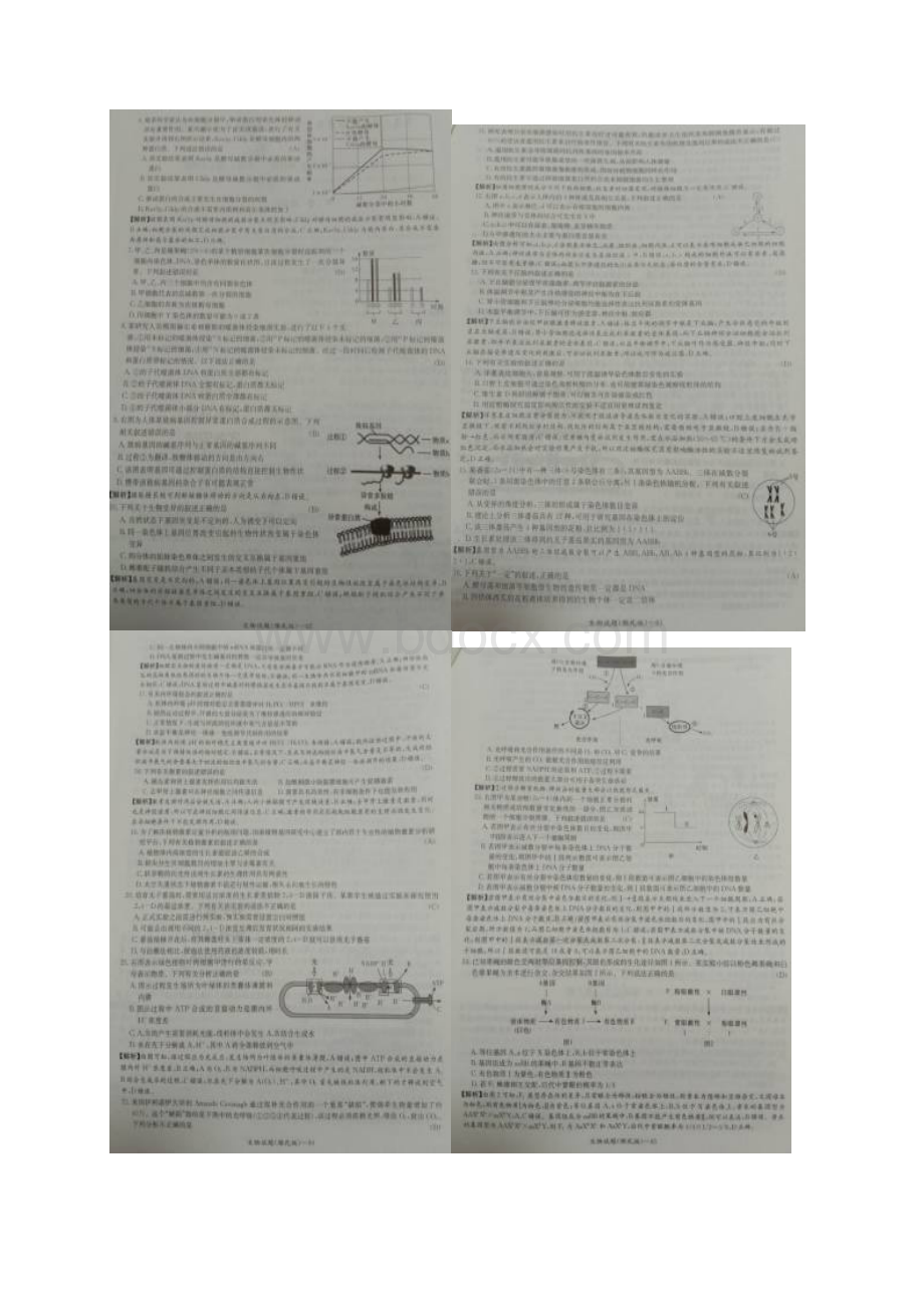 湖南省雅礼中学届高三生物上学期第四次月考试题扫描版文档格式.docx_第3页