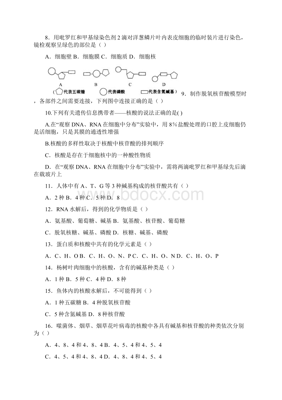 最新高中生物高一生物核酸测试题2 精品.docx_第2页