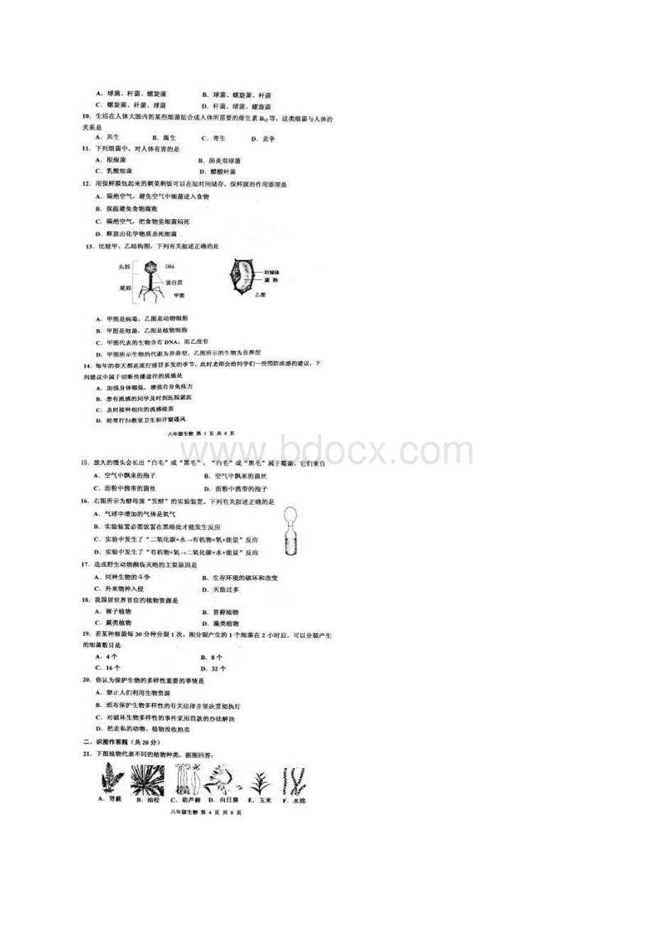 天津市红桥区八年级生物上学期期末考试试题扫描版.docx_第3页