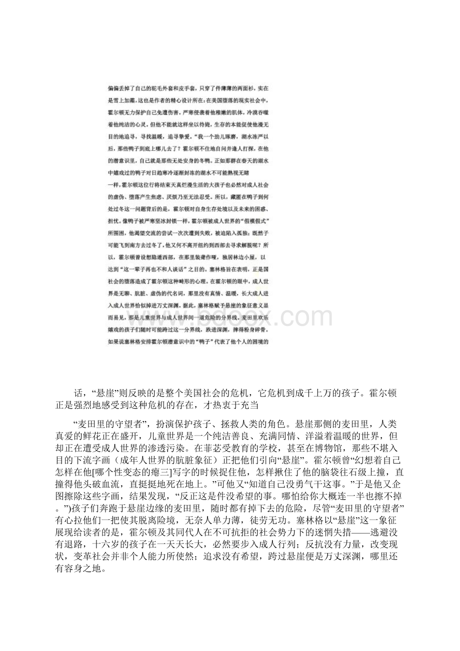 对《麦田守望者的赏析》Word格式文档下载.docx_第3页