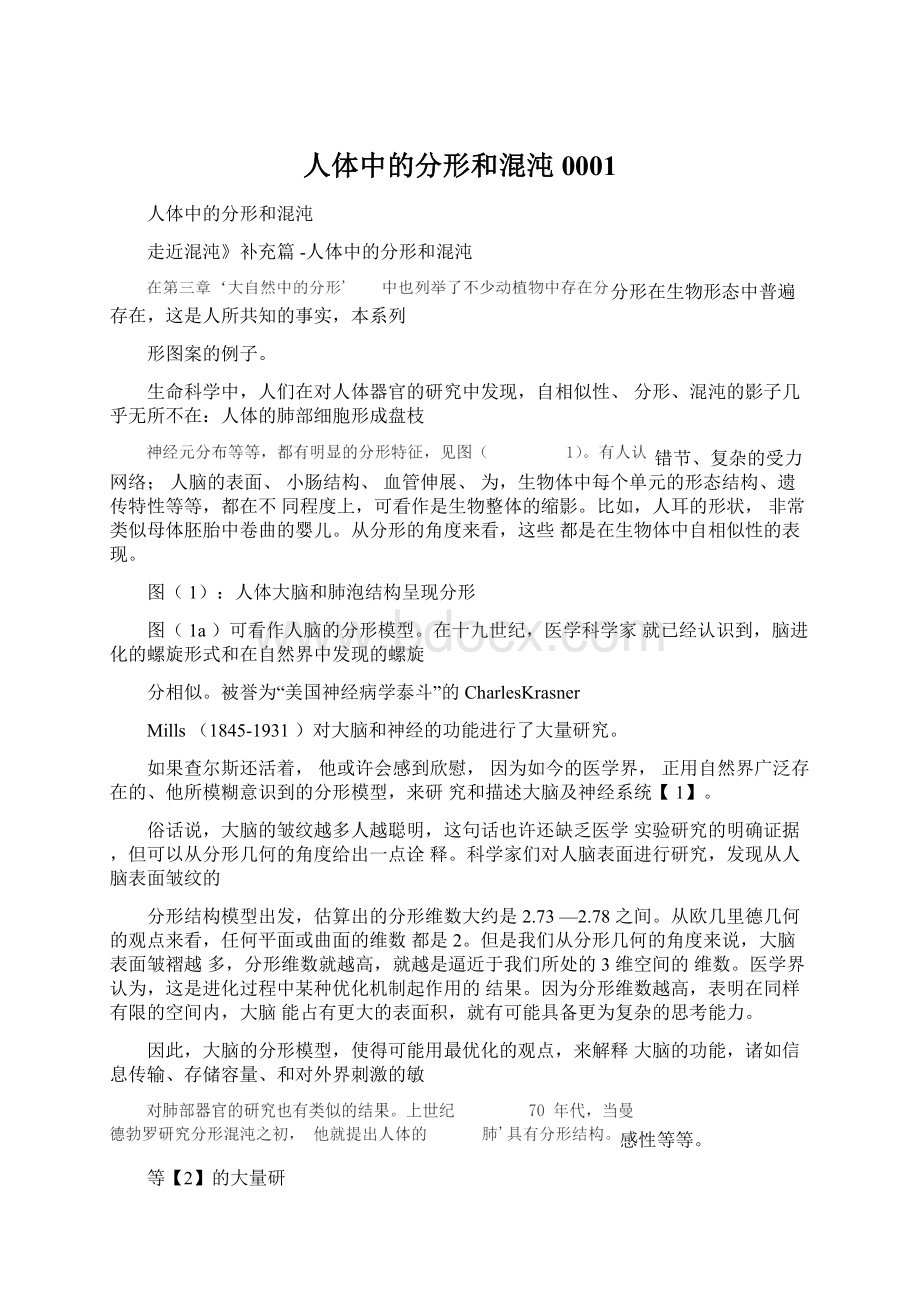 人体中的分形和混沌0001Word文档格式.docx