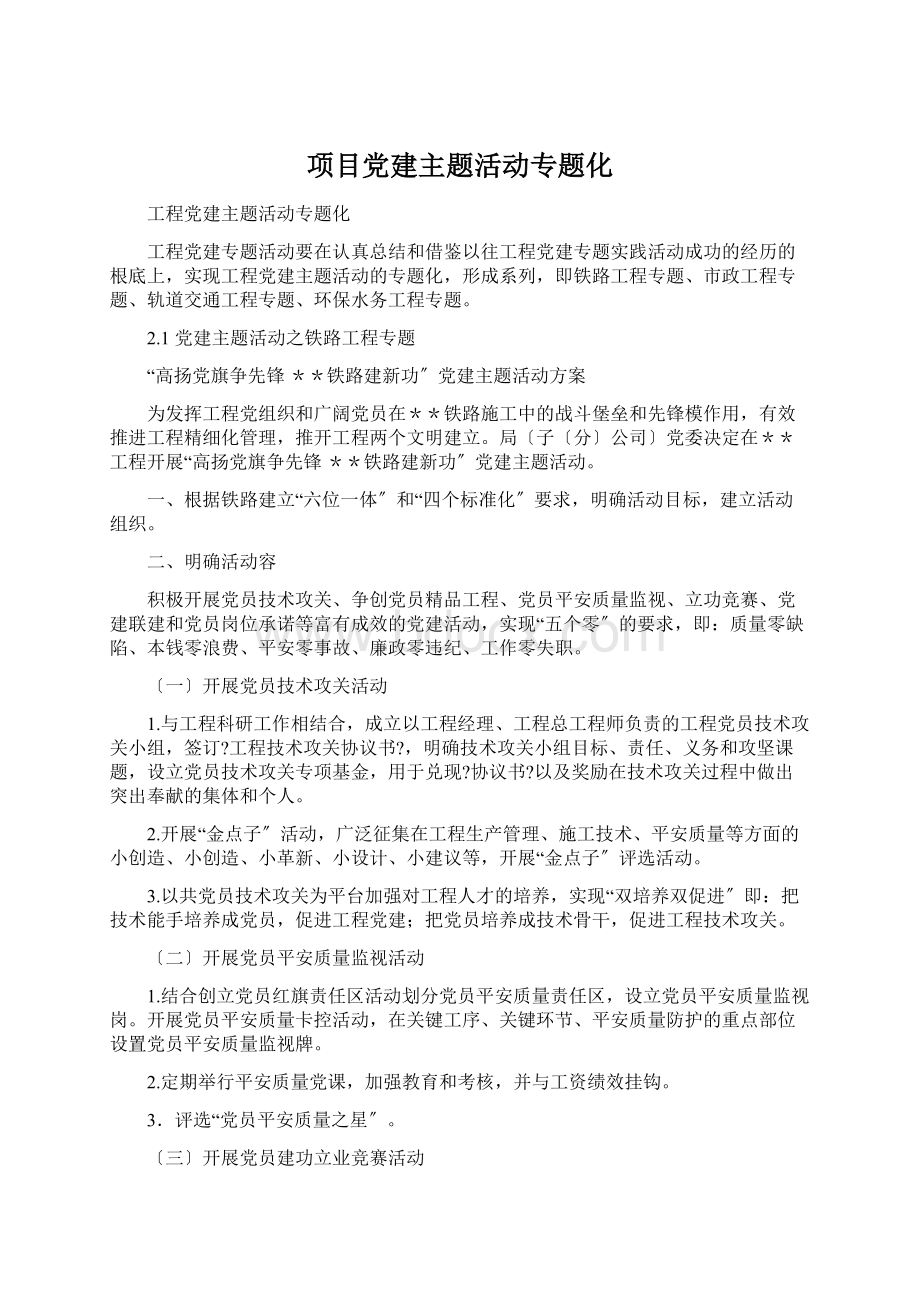 项目党建主题活动专题化文档格式.docx