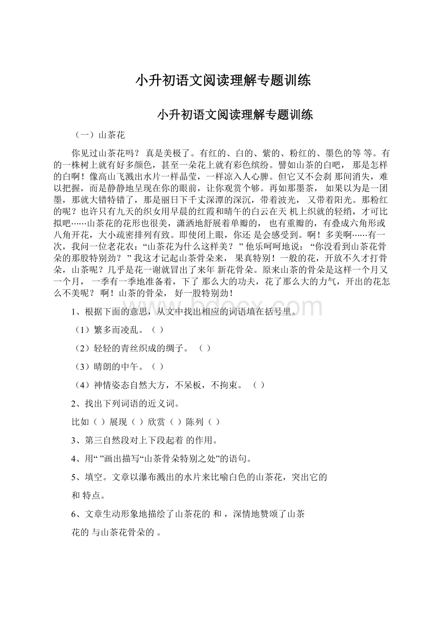 小升初语文阅读理解专题训练文档格式.docx_第1页