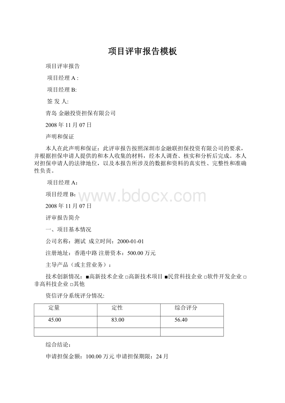 项目评审报告模板Word文件下载.docx