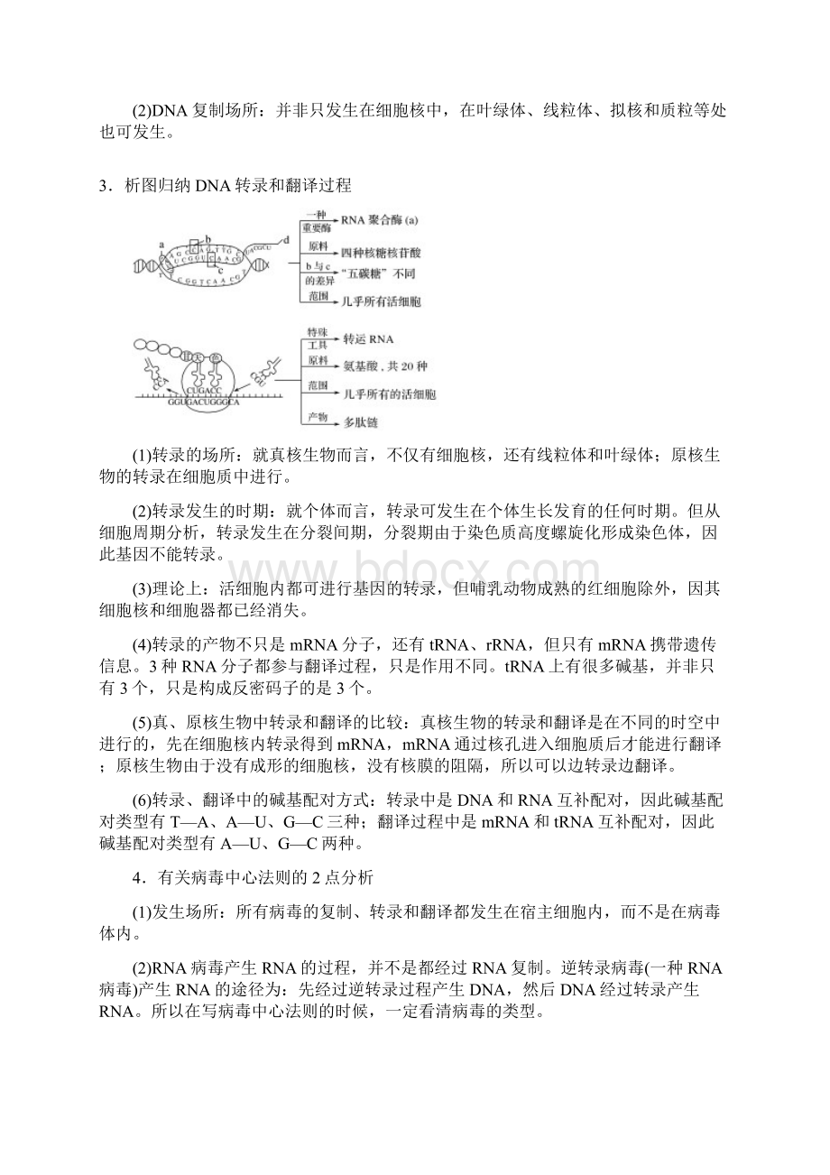 高考生物专题总复习遗传的分子基础 专点12 理清遗传信息的传递和表达过程及数量关系复习题Word格式文档下载.docx_第2页