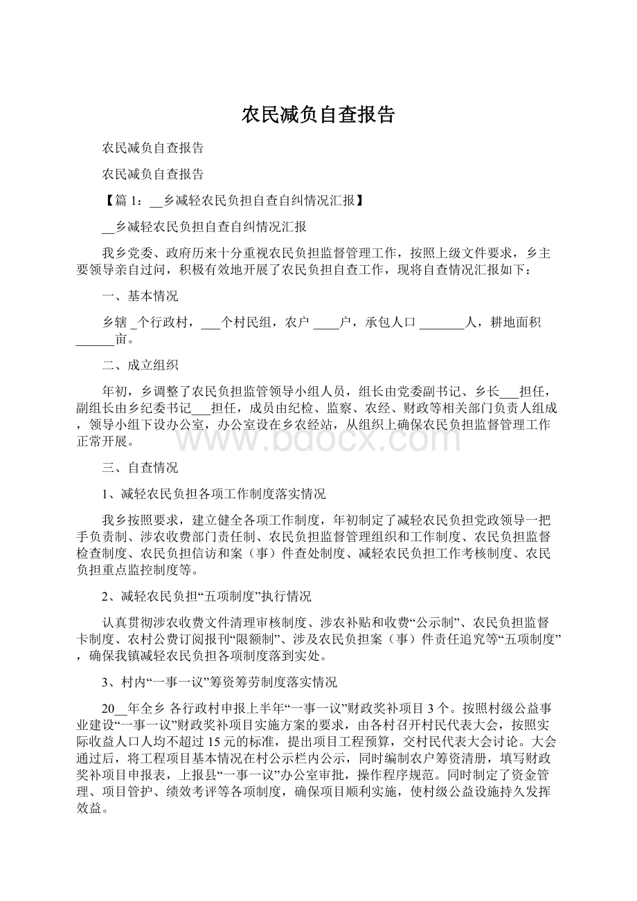 农民减负自查报告.docx_第1页