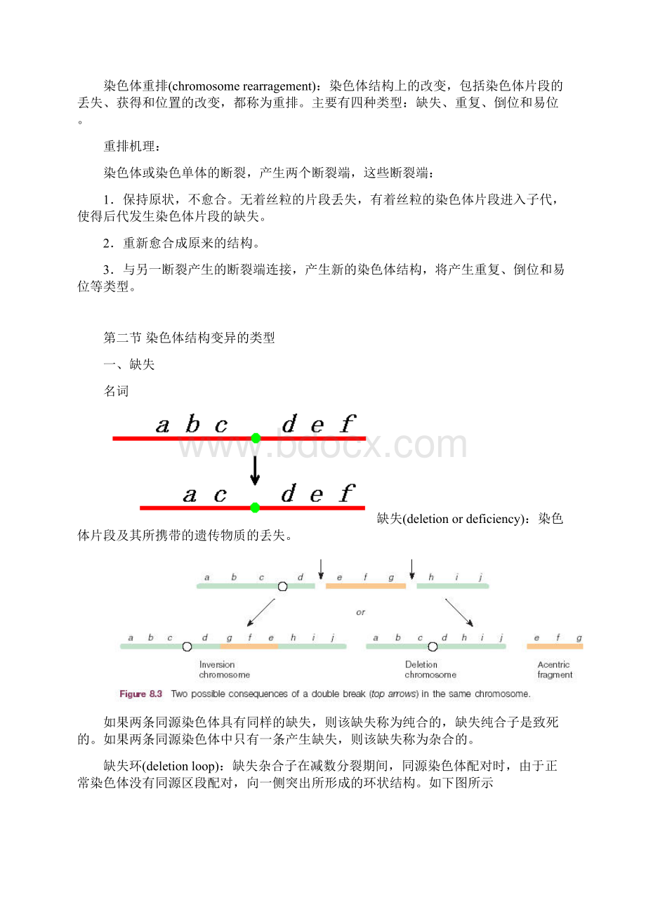 第八章 染色体结构变异Word格式文档下载.docx_第2页