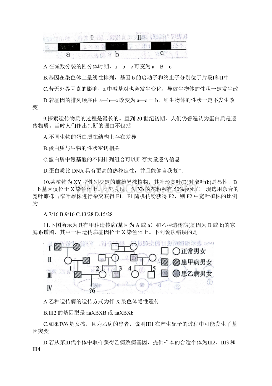 山东省烟台市届高三上学期期末自主练习生物试题含答案Word格式.docx_第3页