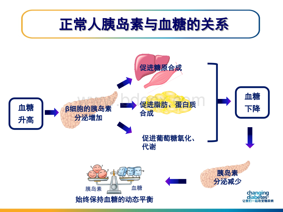 基层医生大课堂糖尿病专题.ppt_第3页