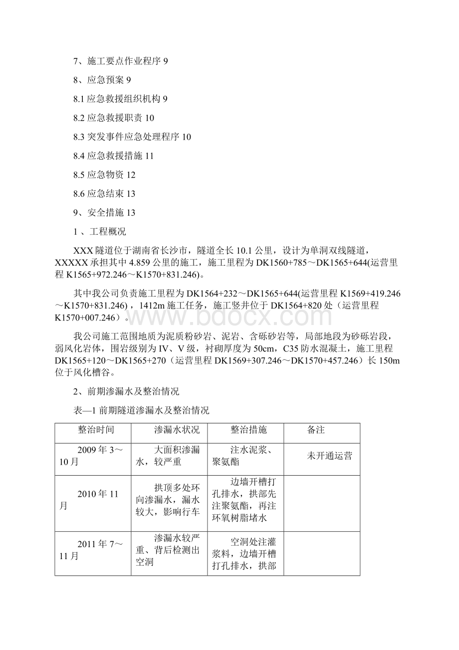 湖南某单洞双线隧道渗漏水整治方案Word文档格式.docx_第2页