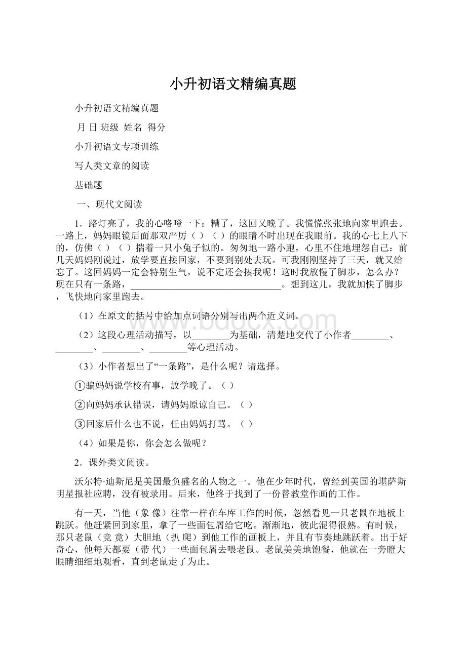 小升初语文精编真题Word下载.docx