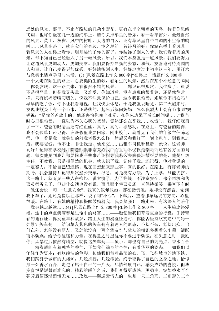 风景在路上作文800字6篇共23页.docx_第2页