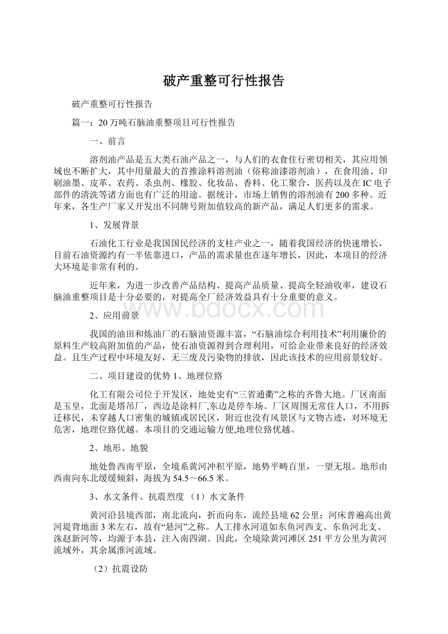 破产重整可行性报告.docx