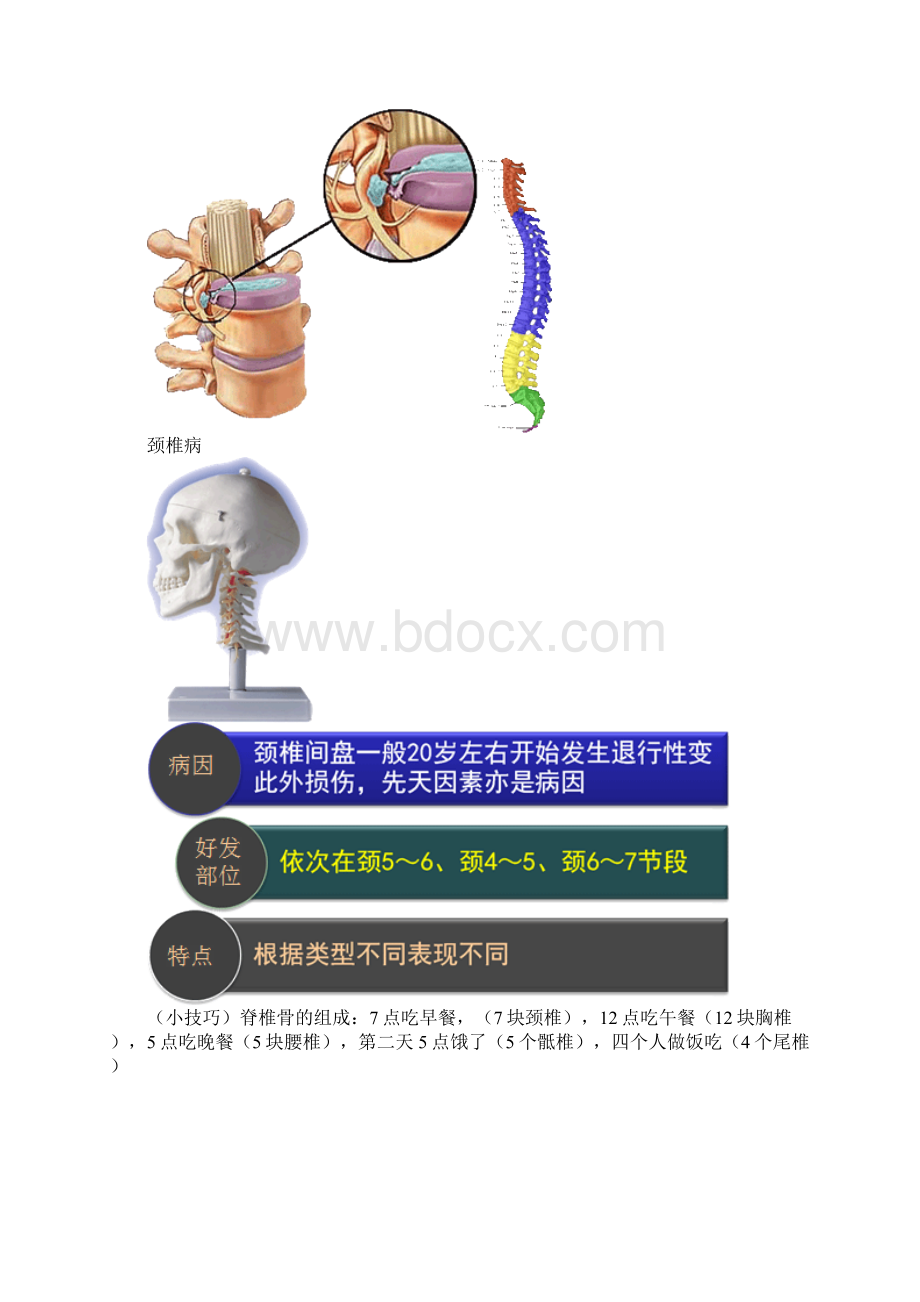 整理肌肉骨骼系统和结缔组织疾病病人的护理.docx_第2页