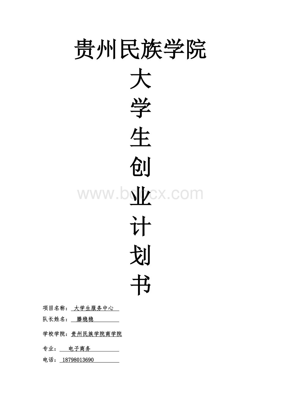 项目大学生服务中心(决赛策划)Word下载.doc