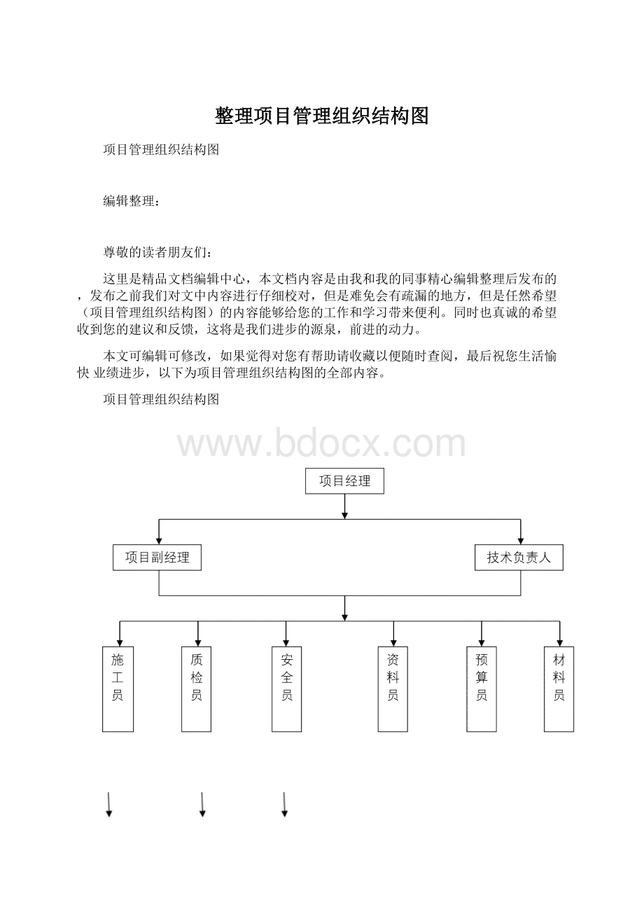 整理项目管理组织结构图Word文件下载.docx