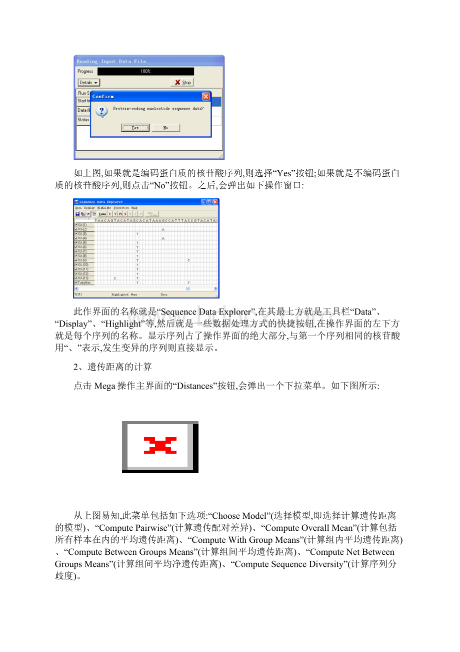 MEGA软件的使用Word文档格式.docx_第3页